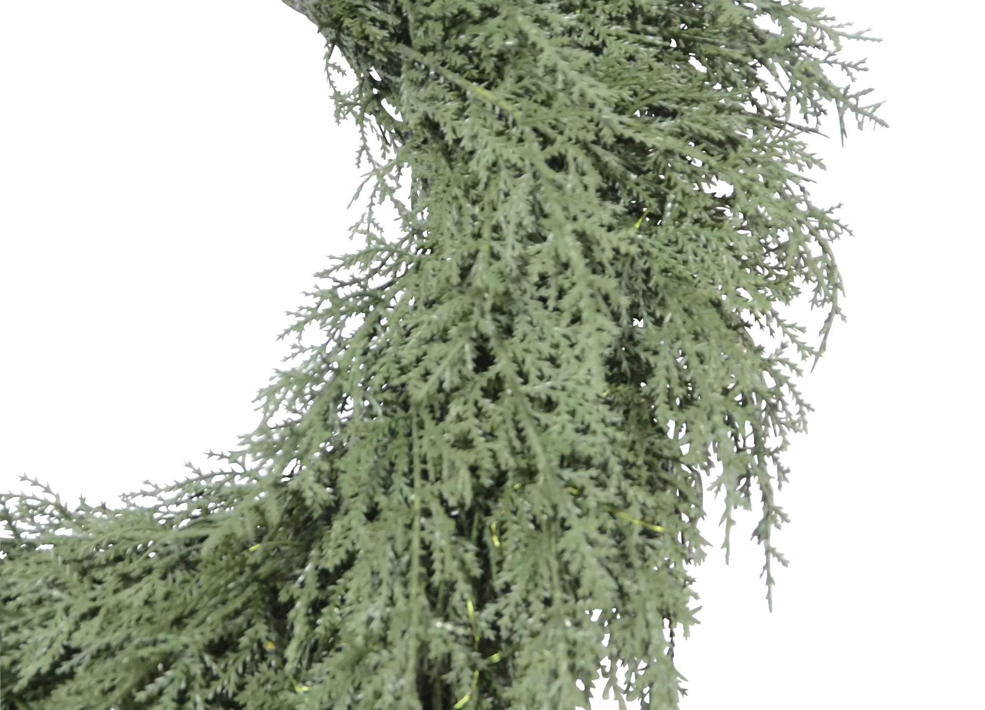 Plantagen Krans Thuja Ø50 cm