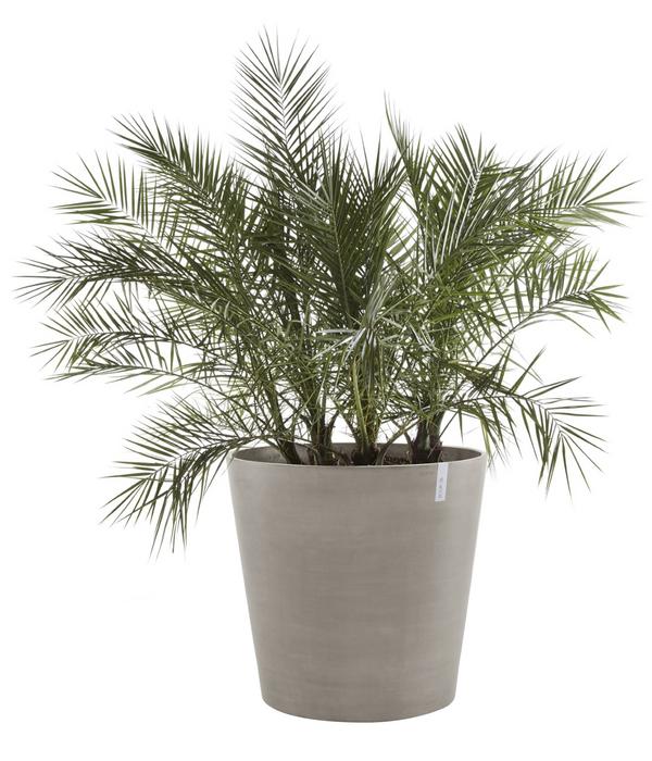 Ecopots Kunststoff-Topf Amsterdam mit Rollen,