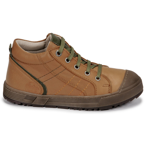 Aster - BARNA - Camel