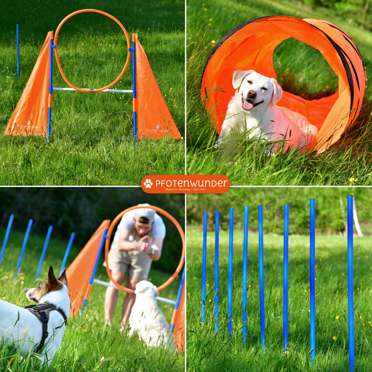 PfotenWunder® XXL-Profi-Agility Set Hunde Groß + 3 M-Tunnel + 21 Min. HUNDESCHULE - 6 Slalomstangen, für kleine & große Hunde-Training Sport Cavaletti Parcour Steckhürdenset Zubehör Hürden