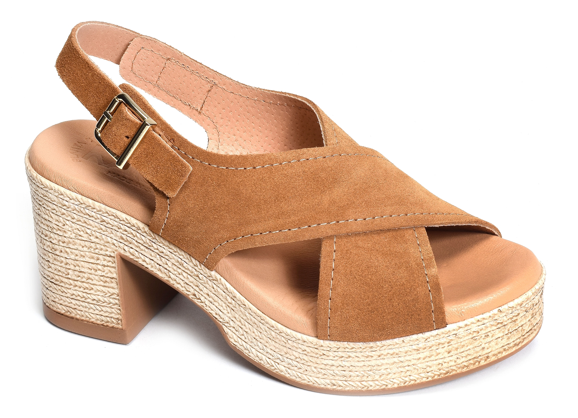 2504 camel