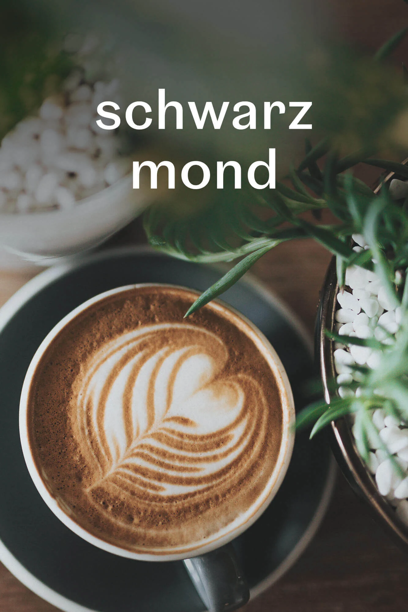 Schwarzmond Probierpaket 750g