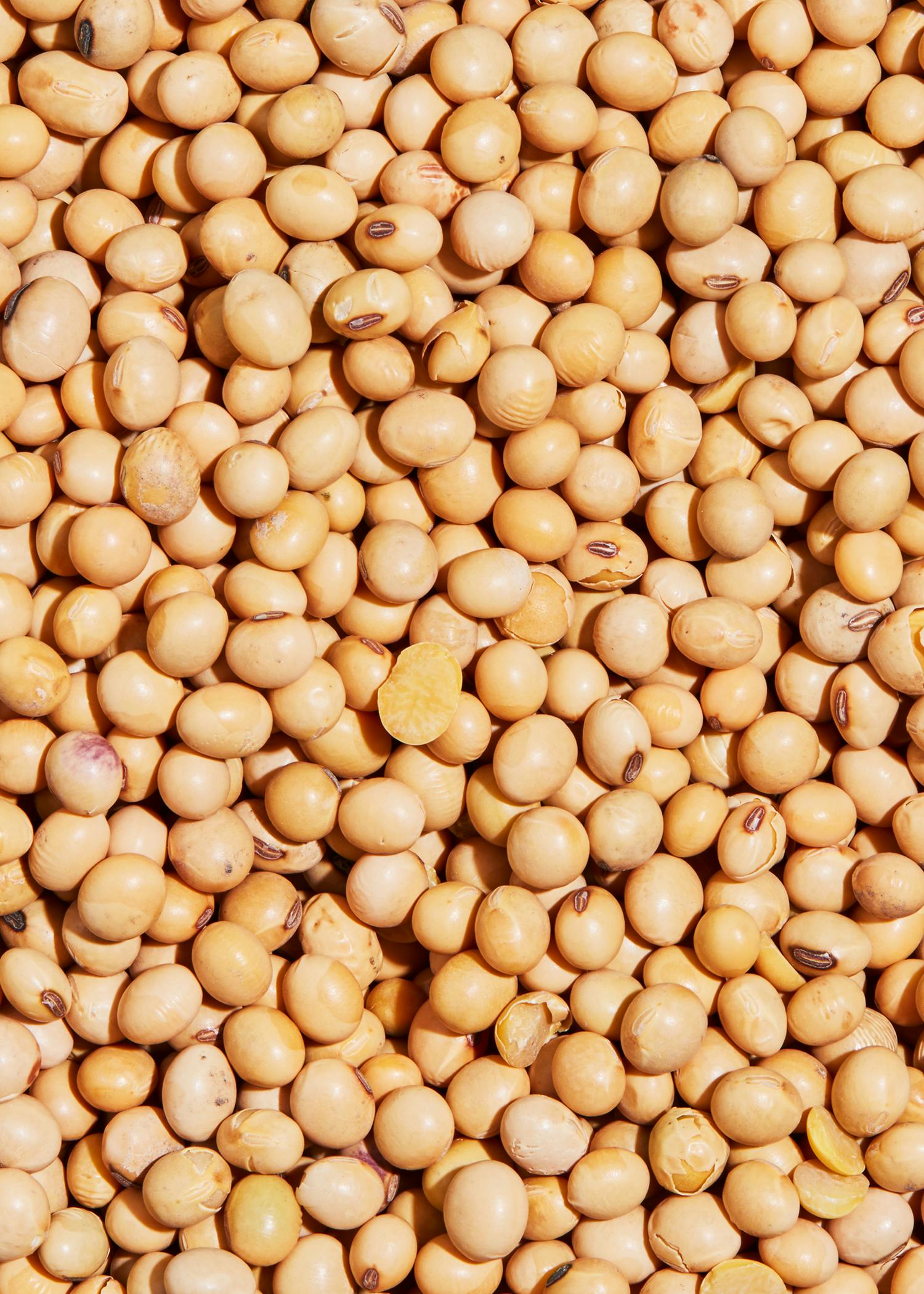 Bio Sojabohnen 2 kg