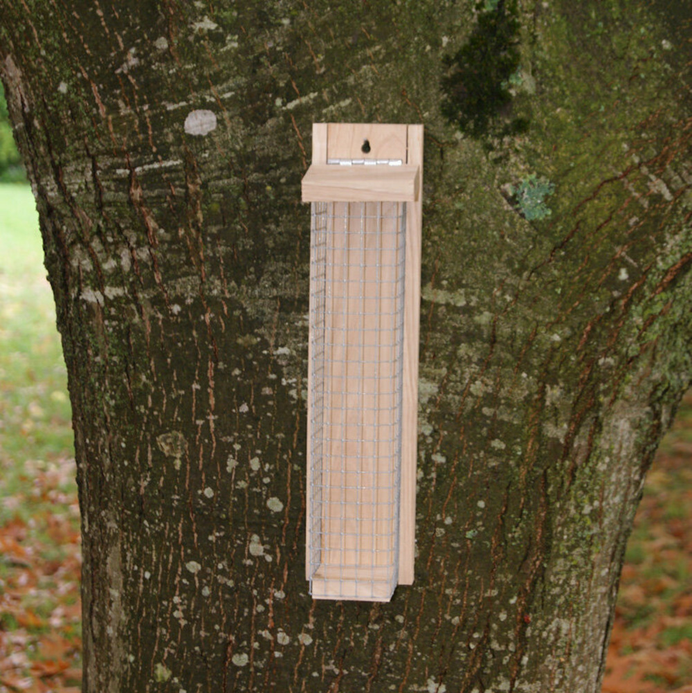 Mangeoire oiseau le garde-manger châtaignier