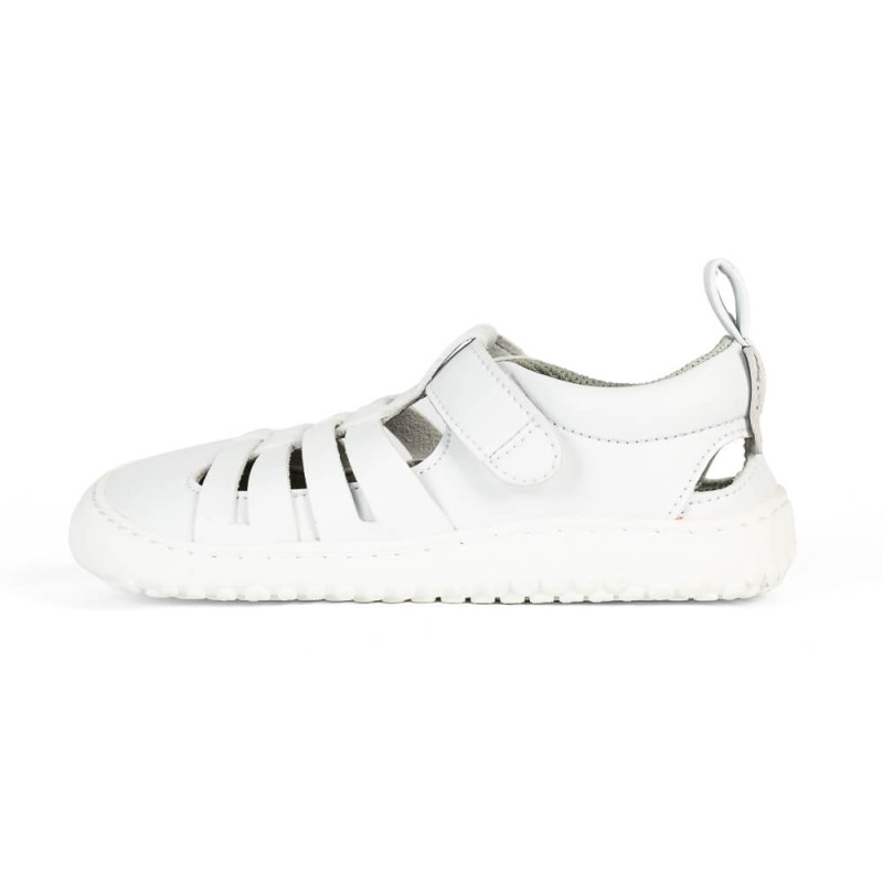 Zapato feroz Zapato Feroz Rockers Tabarca Blanc 2023