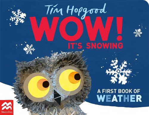 WOW! It's Snowing: A First Book of Weather (Board book)
