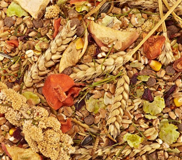 Dehner Best Nature Mäusefutter, 500 g