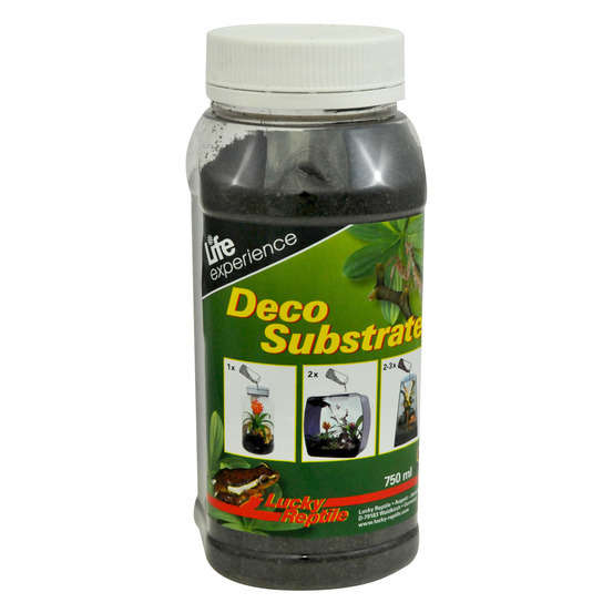 Sol Terreau adapté pour terrarium humide