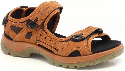 77101 ECCO