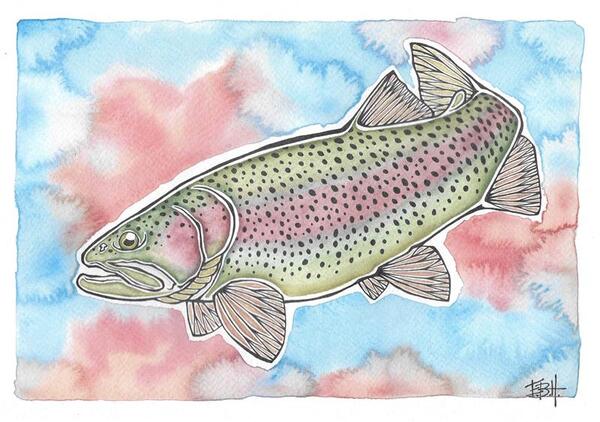 Affiche Poisson EBH Arts Truite Arc-en-Ciel (Encadrée)