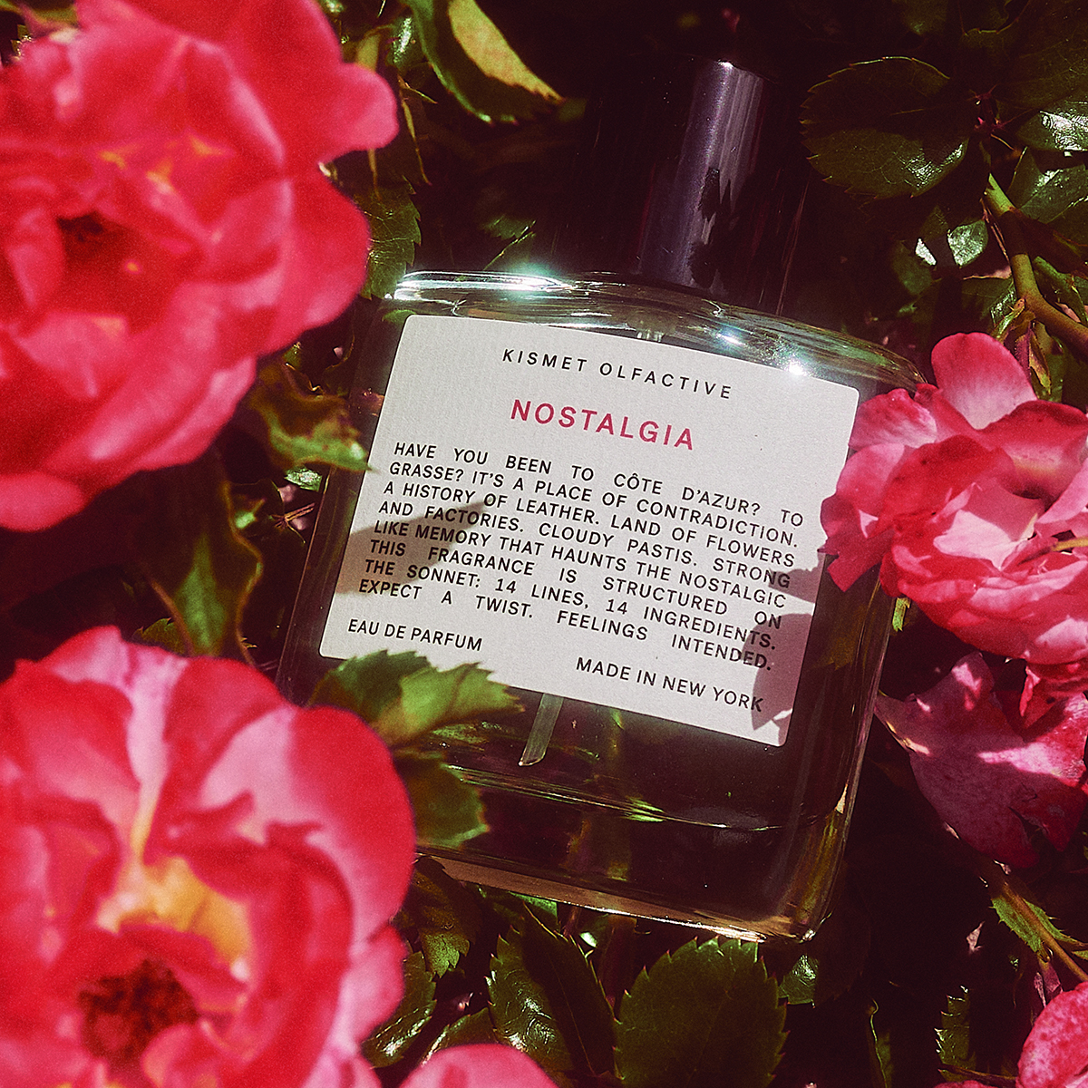 Nostalgia Eau de Parfum 50ml