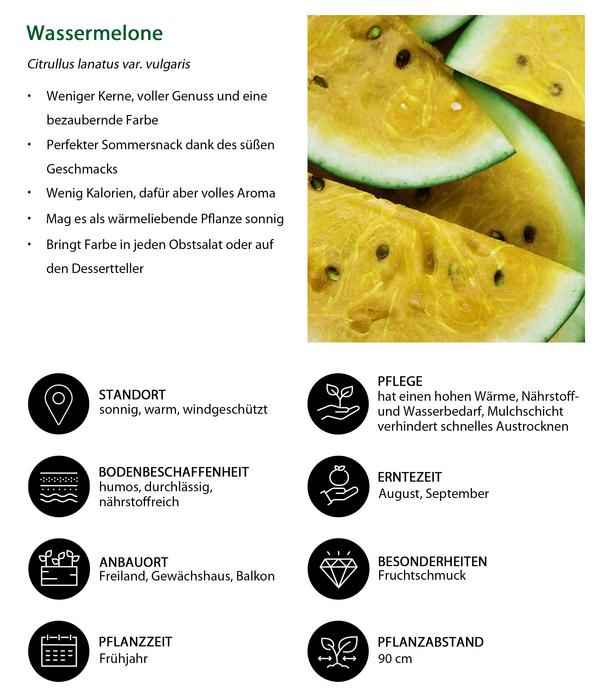 Wassermelone, gelb