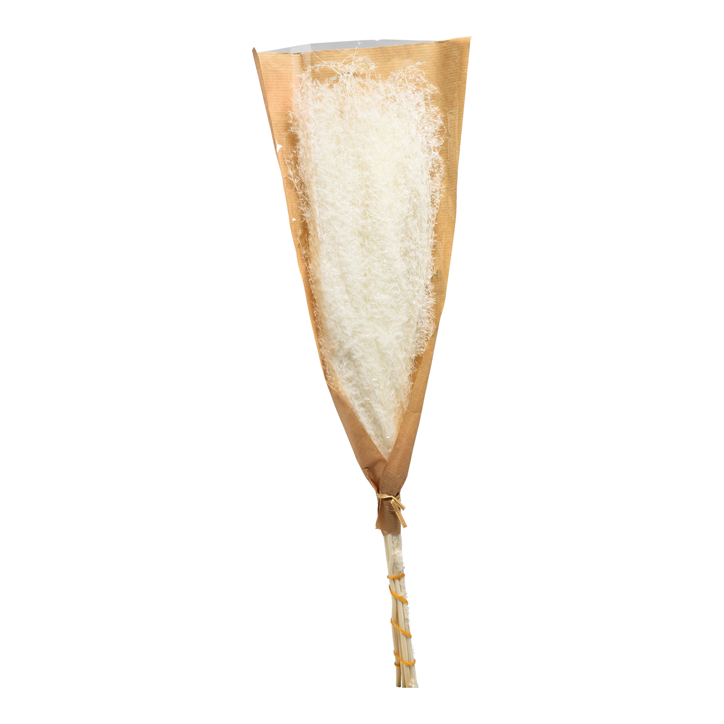 creme, L 75 cm