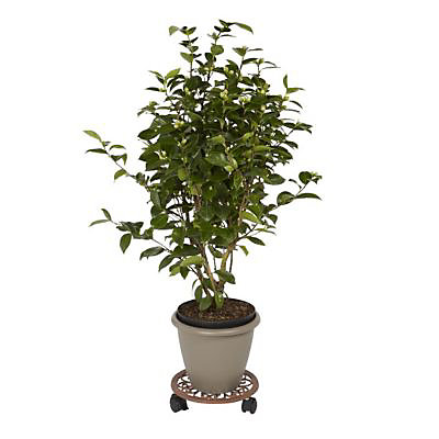 Plateau de manutention rond 50 kg Diall