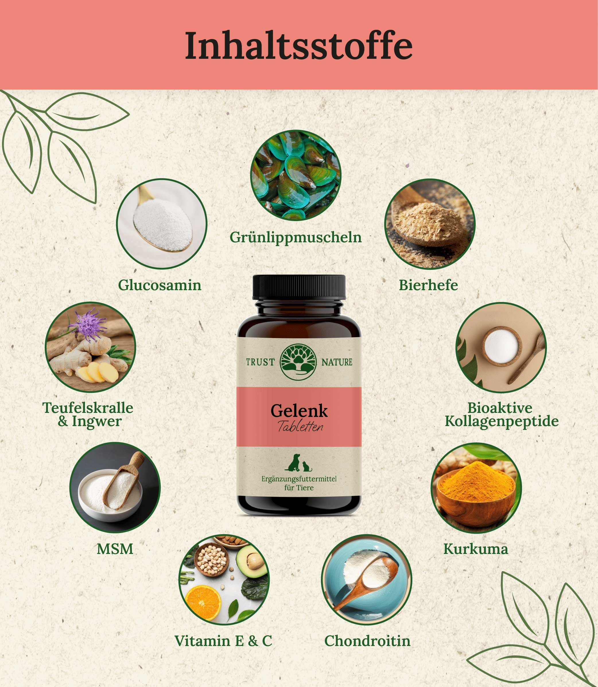 Trust Nature Gelenktabletten