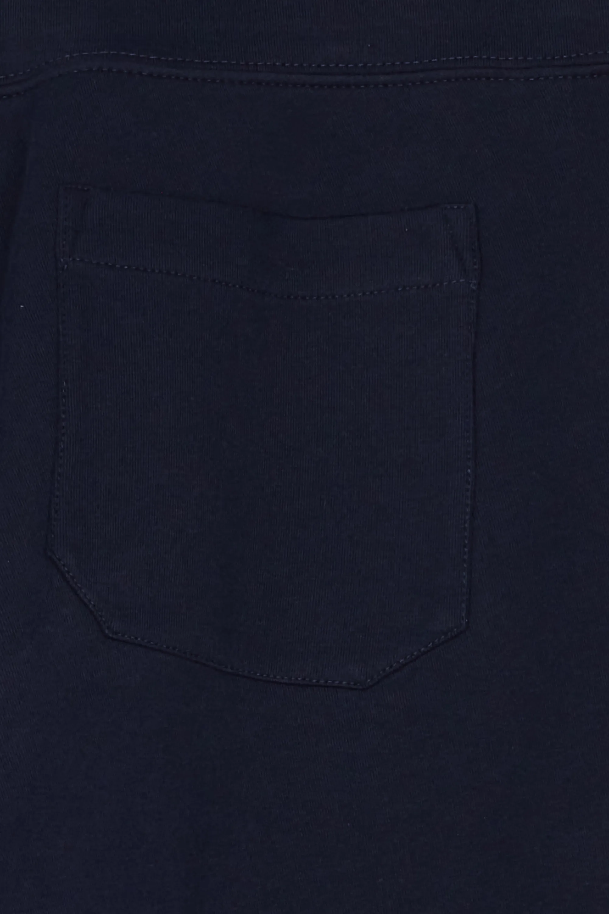 POLO RALPH LAUREN Jogging Bleu
