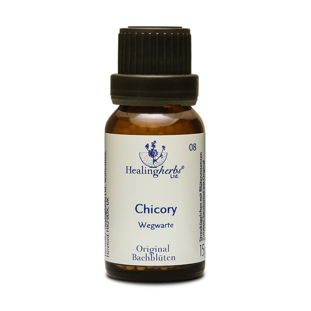 Healing Herbs Chicory Original Bachblüten Globuli