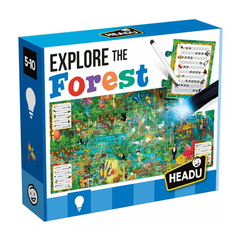 Explore the Forest