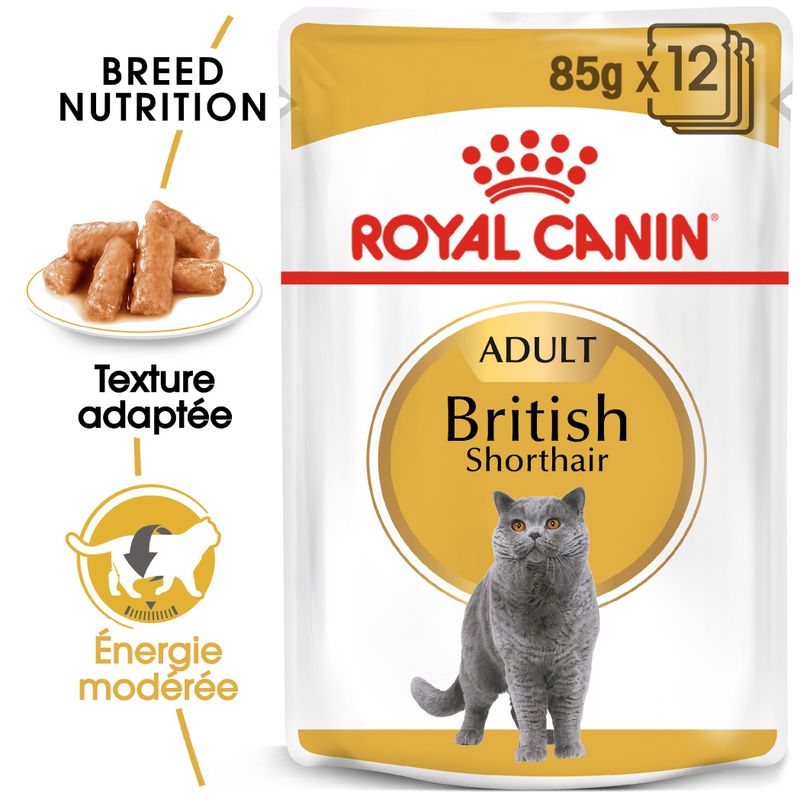Royal Canin British Shorthair Adult en sauce