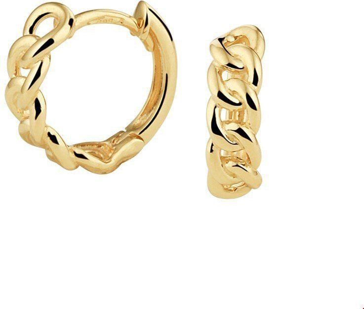 klapoorringen 14K geelgoud 4020841