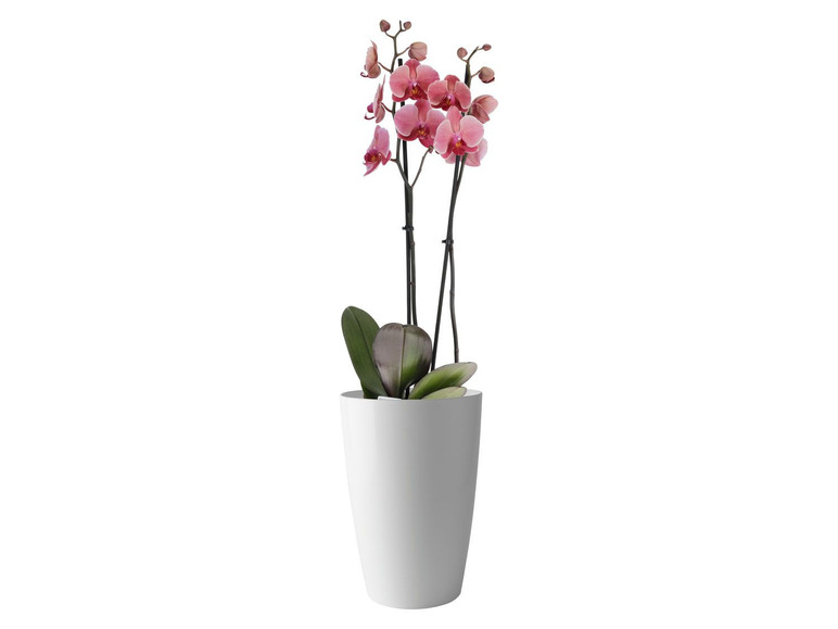 Bloempot met modern design