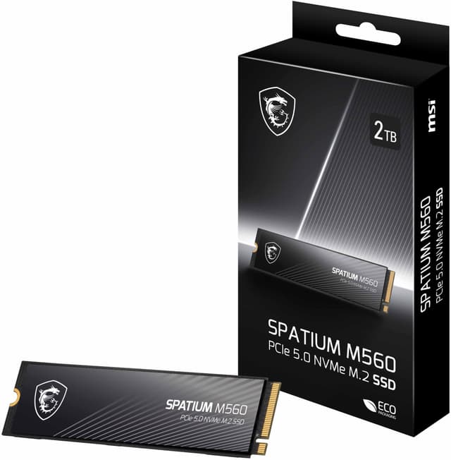 MSI Spatium M560 M.2 intern SSD (2TB)