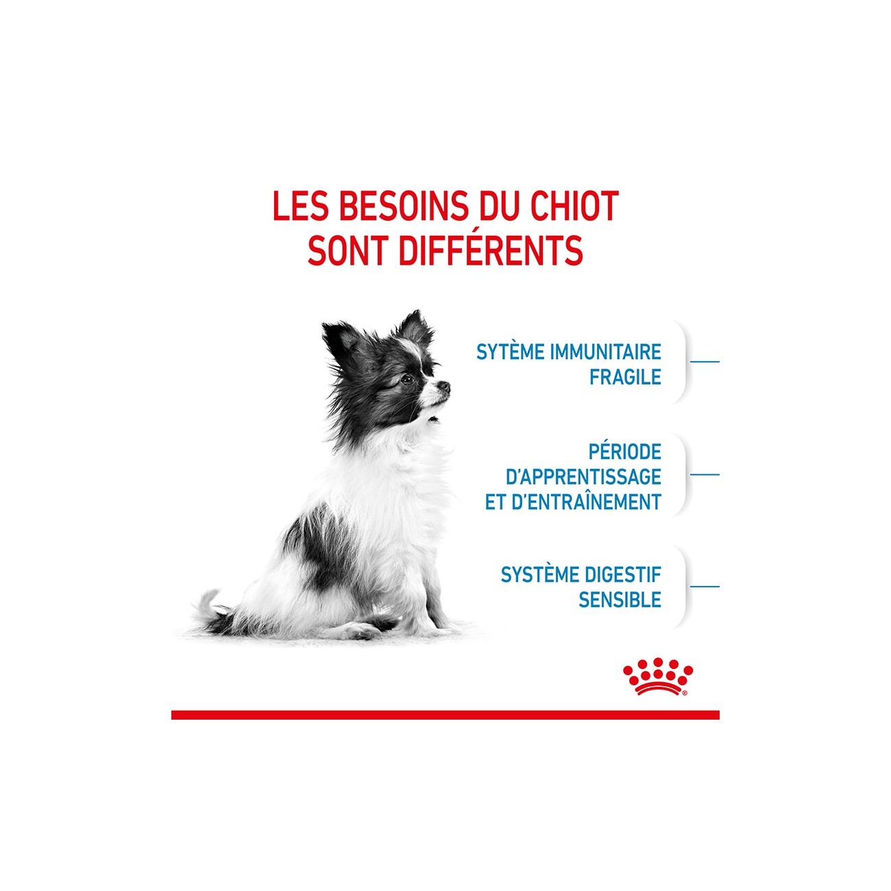 ROYAL CANIN X-Small Puppy 1,5 kg