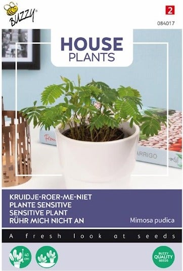 Buzzy House Plants kamerplantenzaad Kruidje-roer-mij-niet (Mimosa pudica)