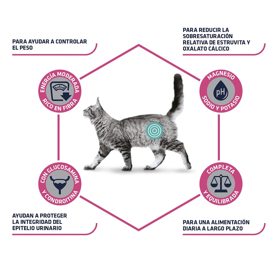 Ração Advance Veterinary Diets de 1,25 kg, esterilizada por urina e de baixa caloria, para gatos.