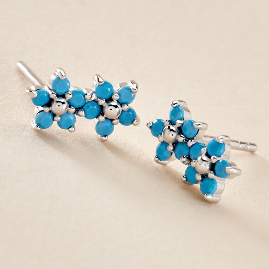 Boucles D'oreilles Puces Bleubirds Argent Blanc Turquoise