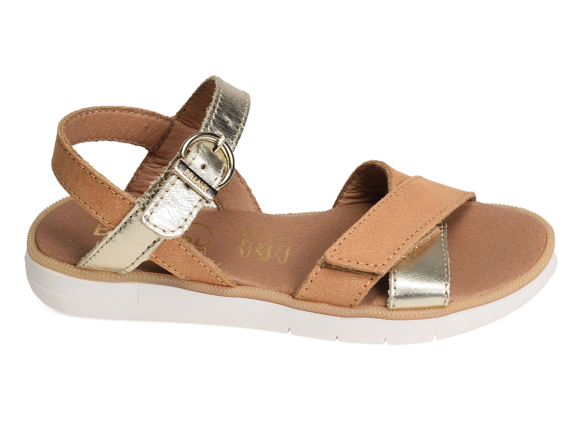 Cuvac camel or