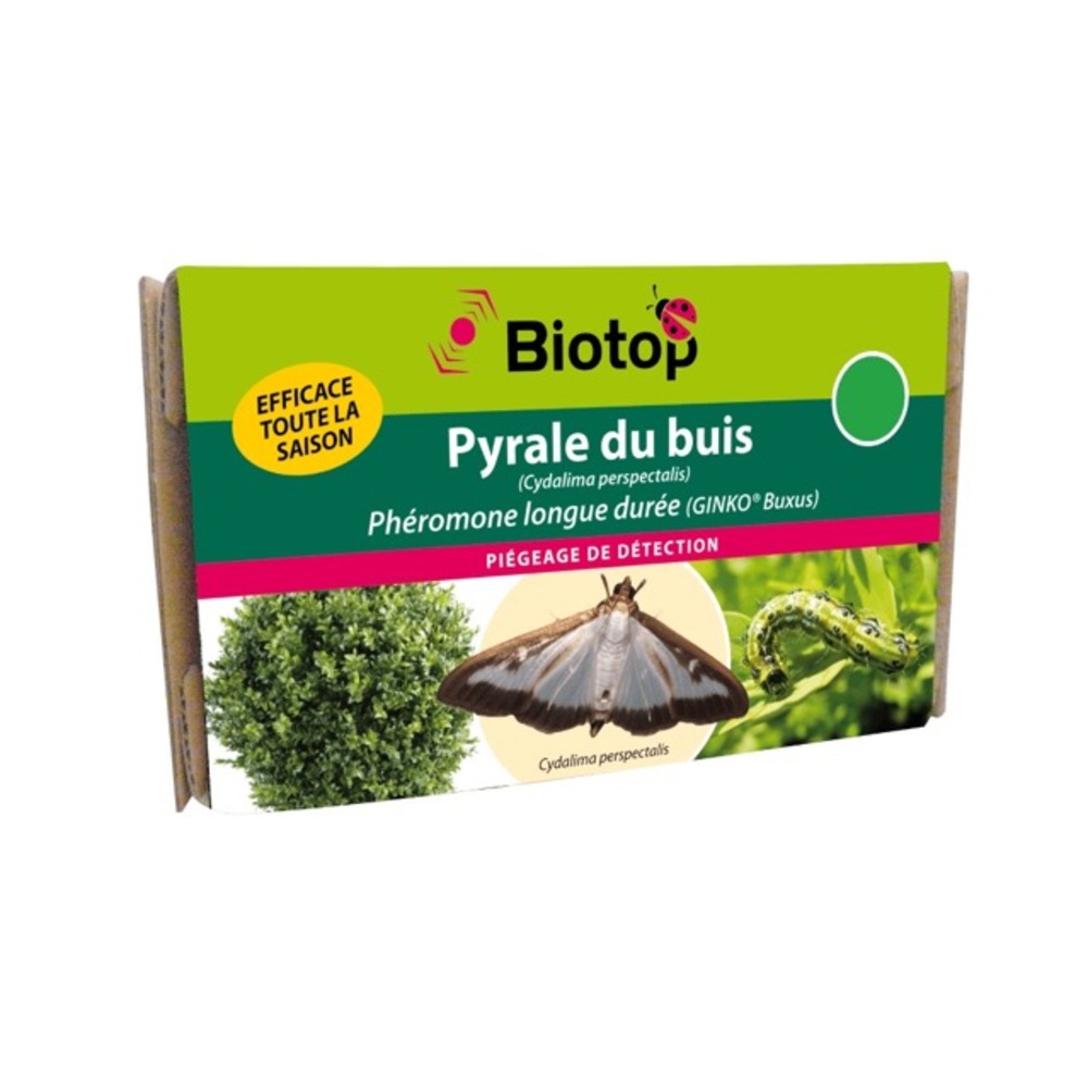 Phéromone pyrale du buis longue duree ginko buxus