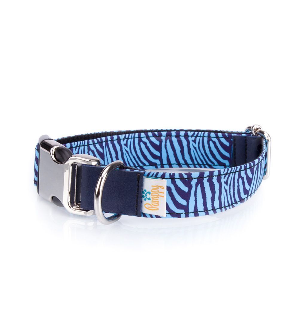 Coleira Pamppy Funny com estampa de zebra azul para cães, multicolorida