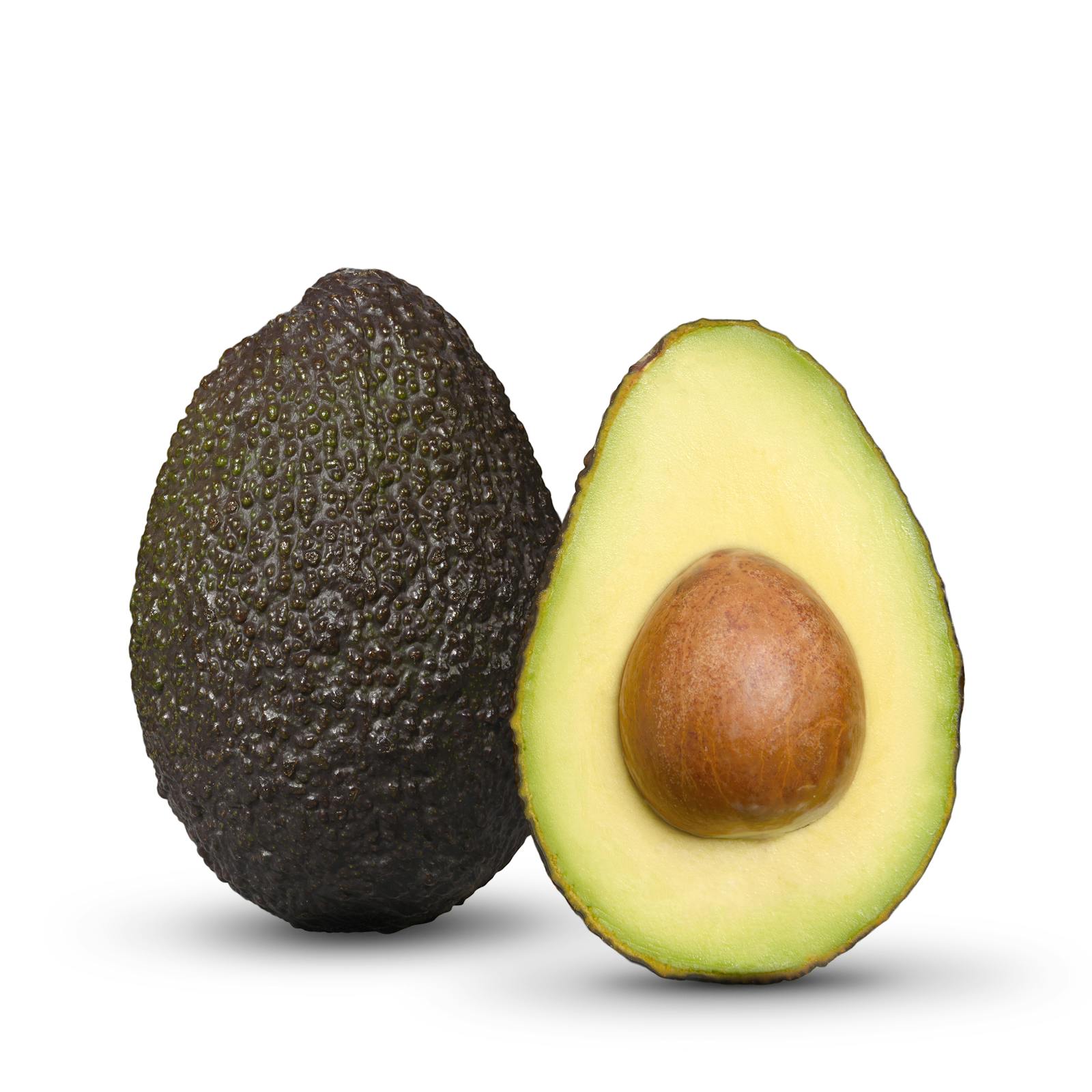 Avocat