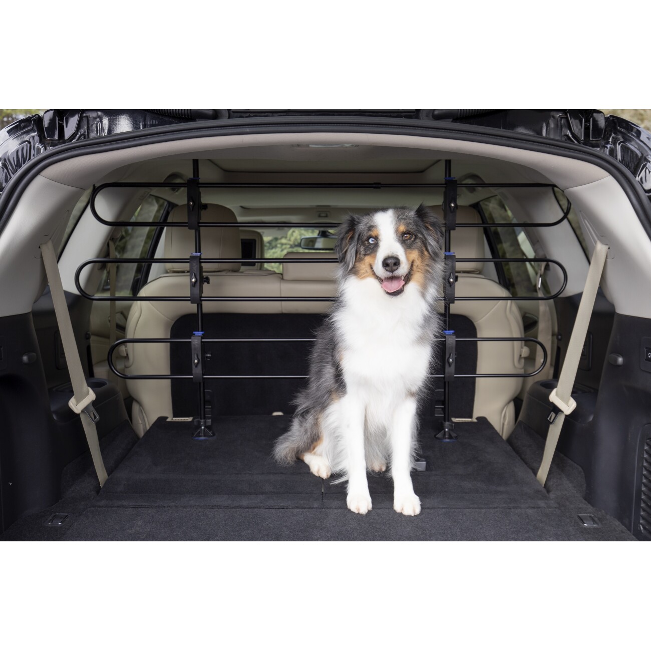 PetSafe Happy Ride Hundeschutzgitter