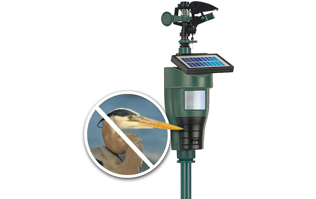 Wasserstrahl-TierschreckEffektive Reiherabwehr dank Wassersprinkler Technologie