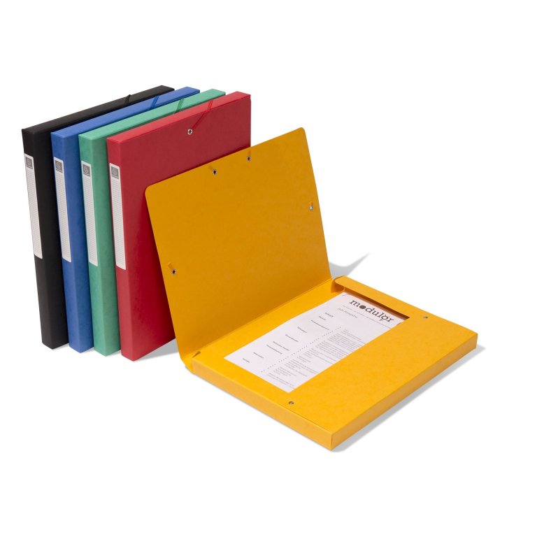 Exacompta Karton-Archivbox mit Gummizug