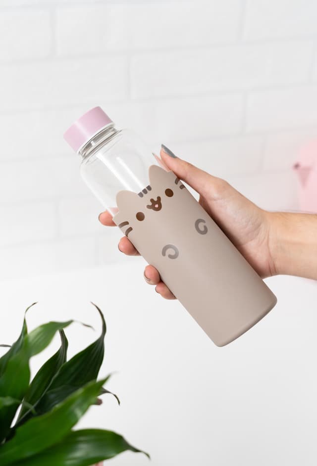 Grupo Erik Pusheen vandflaske