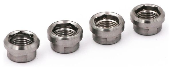 Vis Cheminées Rennen Regular Titane Argent (x4)