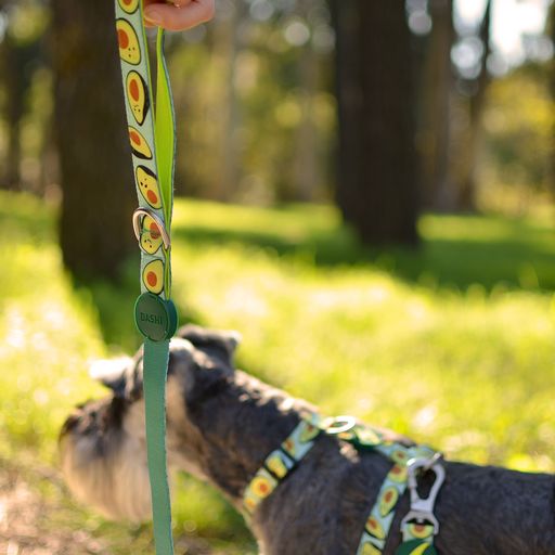 Guia para cães em poliéster multicolorido cor abacate Dashi