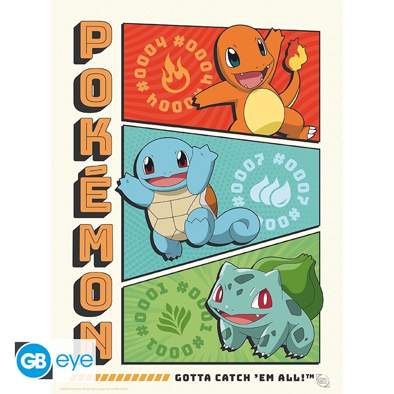 POKEMON - Portfolio 9 posters 