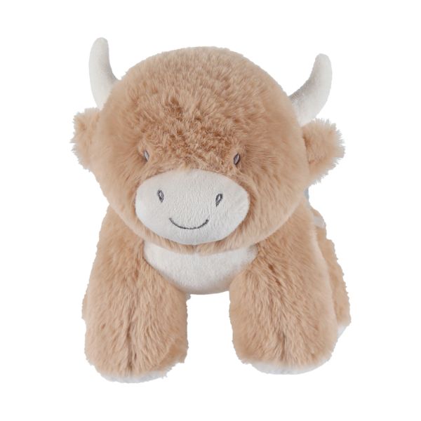 Noukie's F&O Activiteiten Knuffel