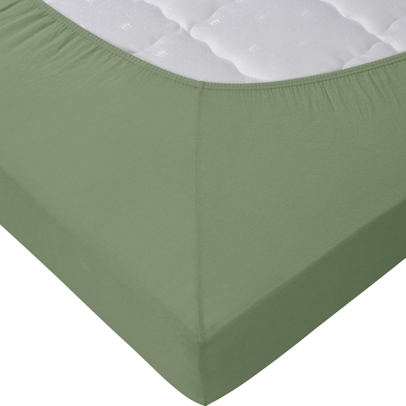 Living Edition Jersey-Fixleintuch 180x200, salbei