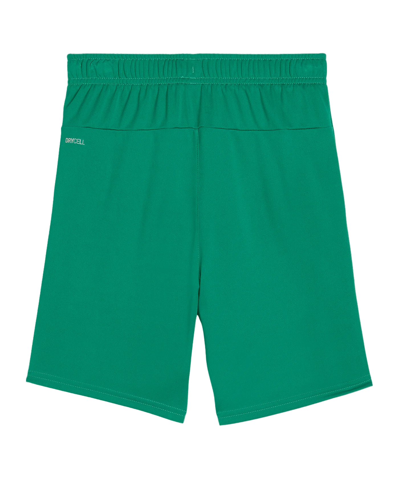 PUMA teamGOAL Short Kids Grün Weiss F05