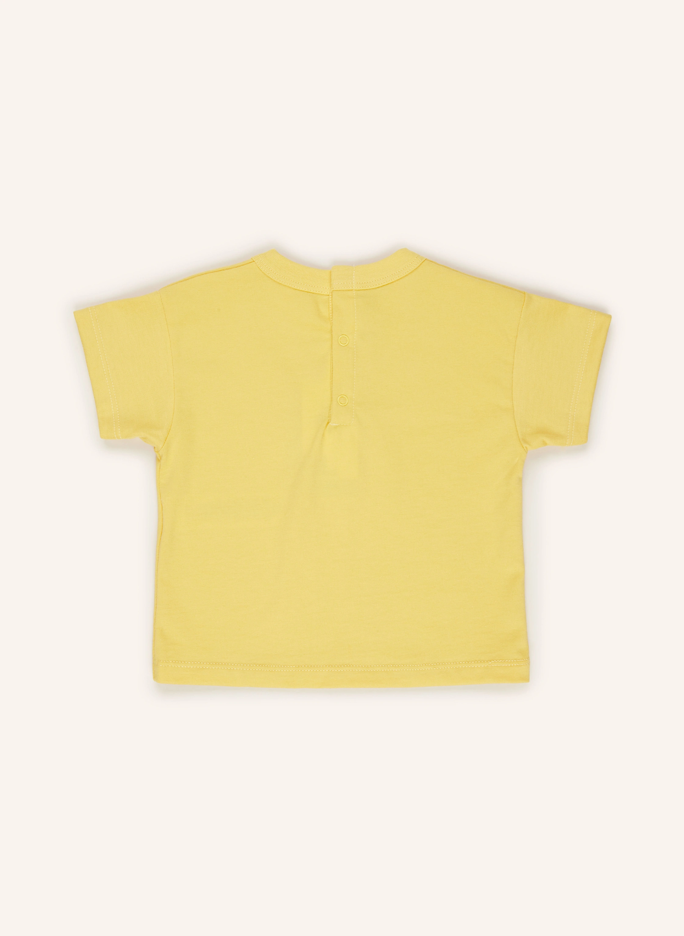 PETIT BATEAU T-Shirt