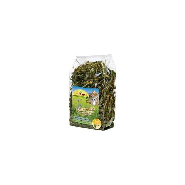 Jr Farm Llanten 100 g