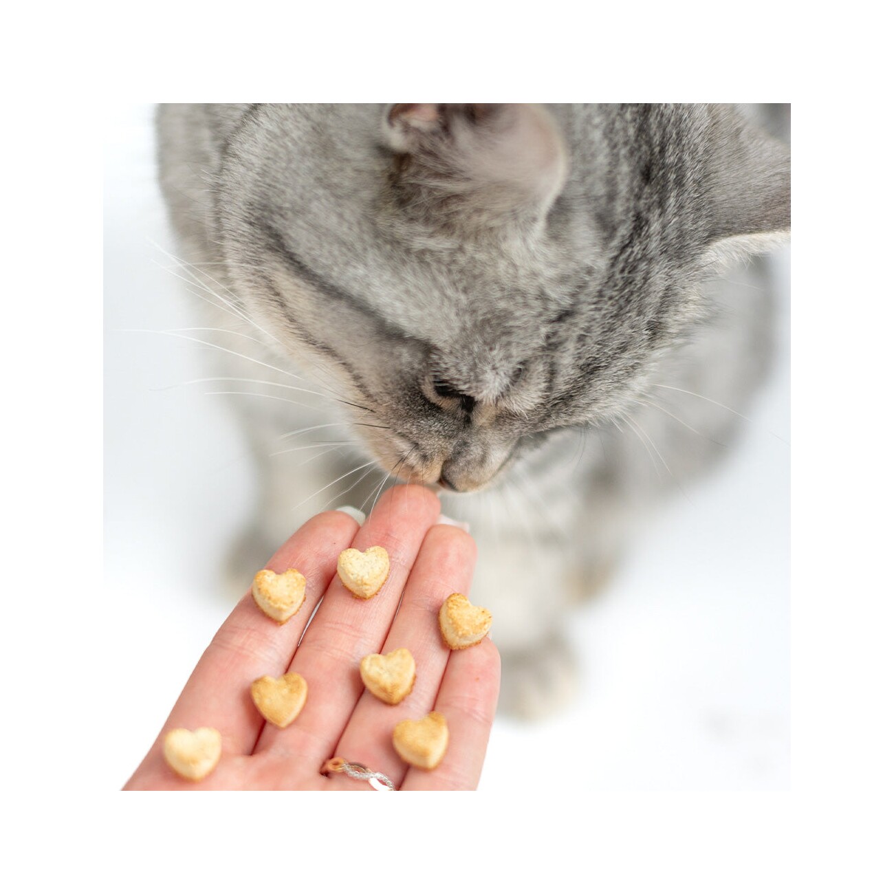 SmoothieCat Mix 8x 150 ml + Trixie Backmatte Grau