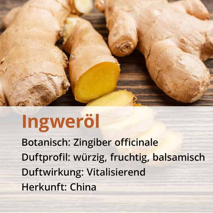 Ingwer Öl naturrein ätherisches Öl, 10 ml