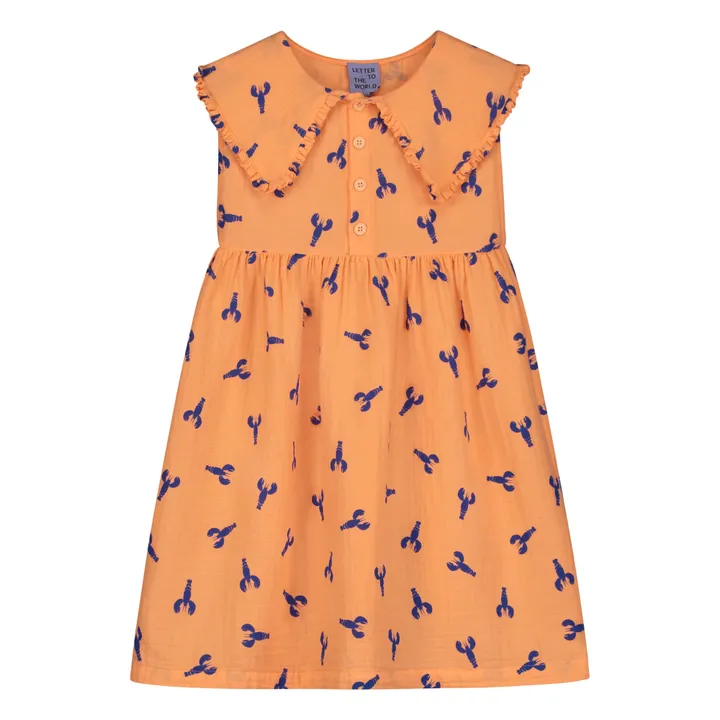 Letter To The World Robe Istanbul Coton Bio | Abricot