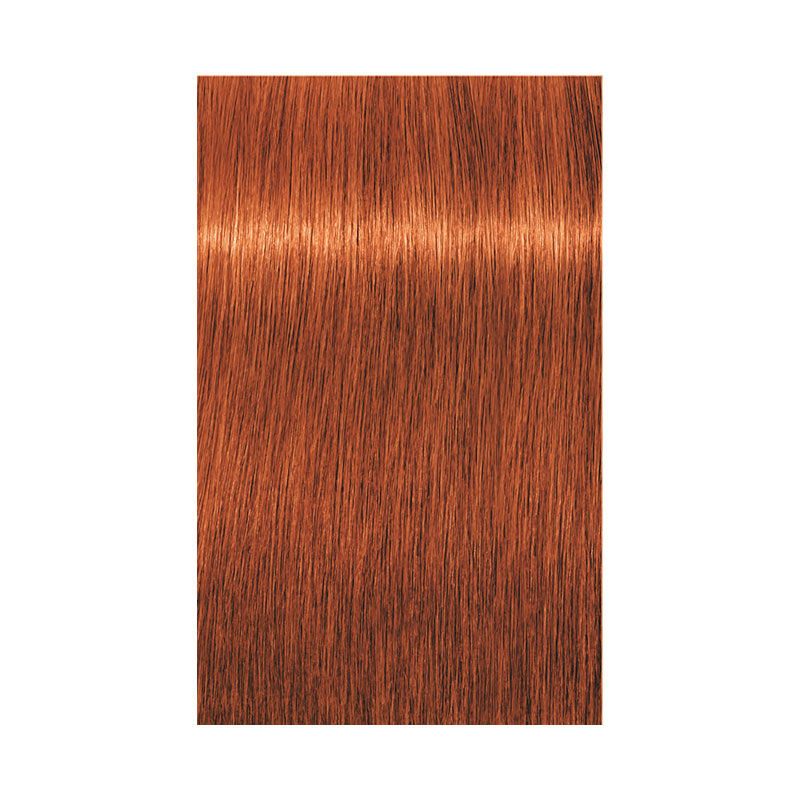 Coloration permanente Igora Royal 7-77 blond cuivré extra